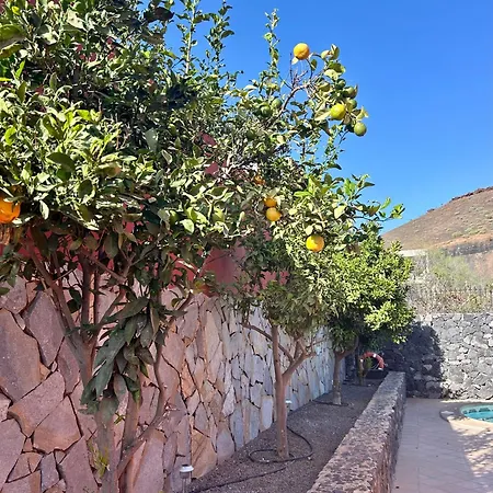 Consuelo - Quiet Location Close To Βίλα Buzanada